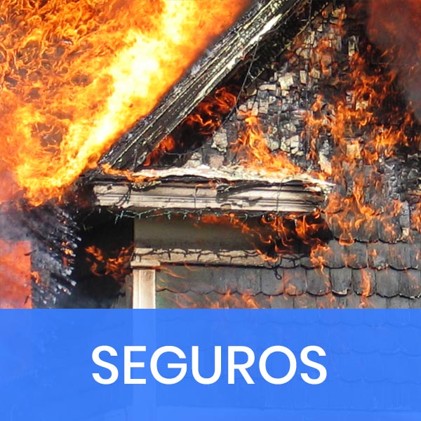 Ley de seguros